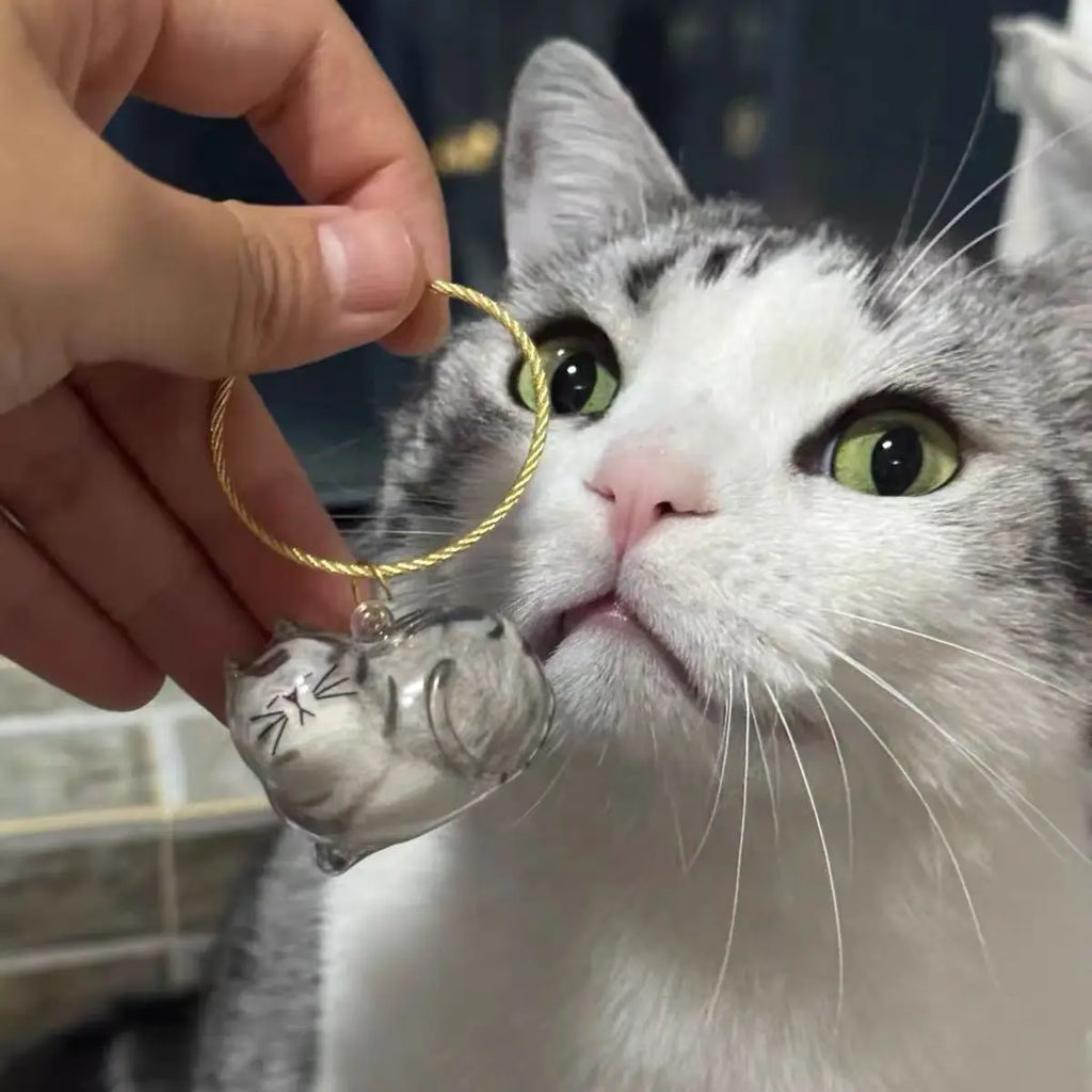 Cat Hair Storage Pendant Transparent Accessory Hair Collection Capsule Pet Souvenir Pet Accessories