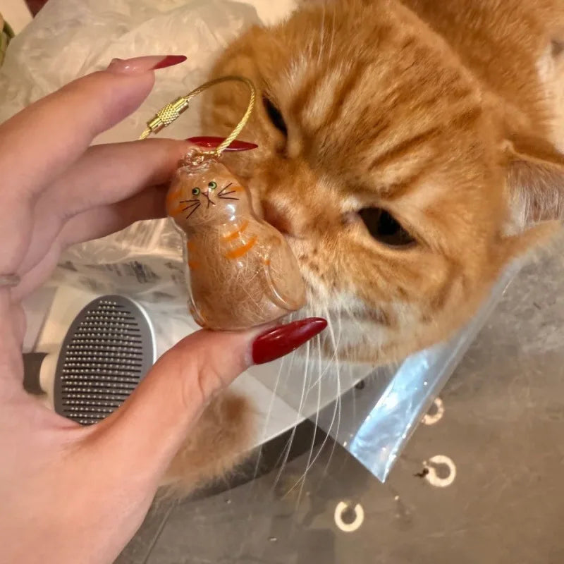 Cat Hair Storage Pendant Transparent Accessory Hair Collection Capsule Pet Souvenir Pet Accessories