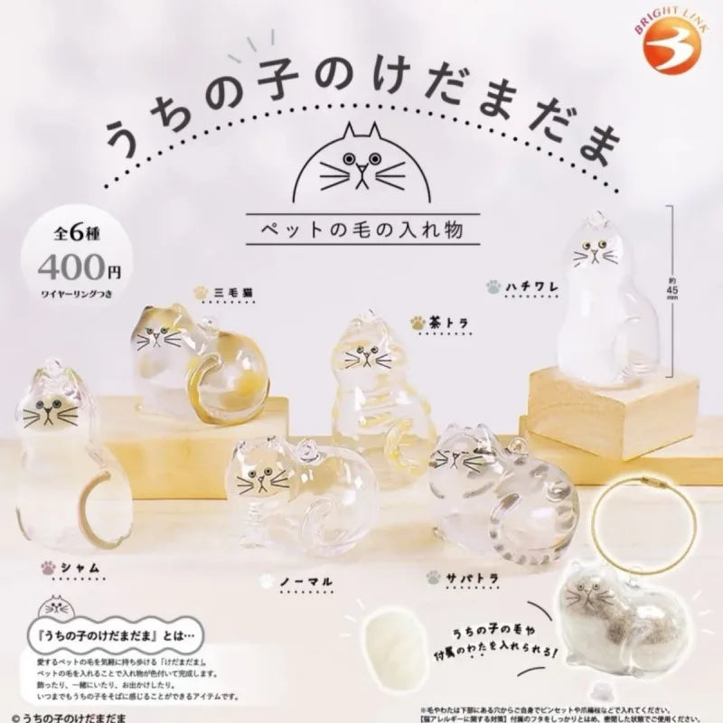 Cat Hair Storage Pendant Transparent Accessory Hair Collection Capsule Pet Souvenir Pet Accessories